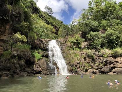 Waimea Valley Falls in Waimea Valley Oahu Hawaii