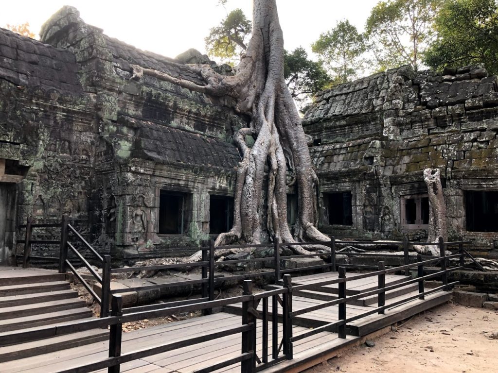 Cambodia Trip - Ta Prohm