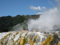Rotorua Geothermal Area