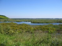 Srebarna Nature Reserve