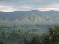 Rwenzori Mountains National Park