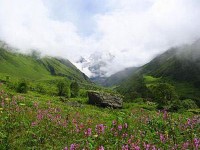 Valley of Flowers National Parks 