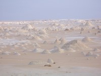 Farafra - White Desert